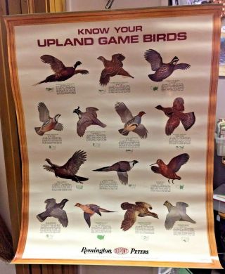 Remington Peters Ammunition Dupont Know Your Upland Game Birds Poster Vintage 72