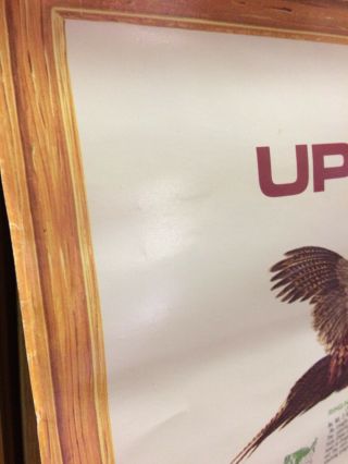 Remington Peters Ammunition DuPont KNOW YOUR UPLAND GAME BIRDS Poster Vintage 72 3