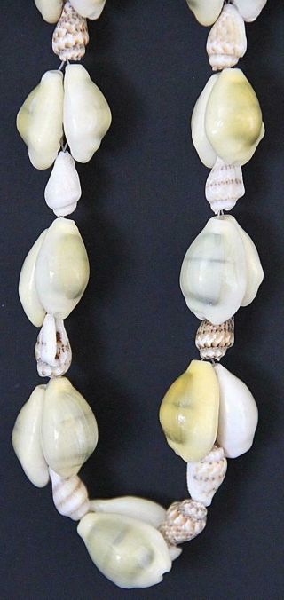Vintage Hawaiian Islands Multi Color Lg & Small Snail Sea Shell Lei Necklace 32″