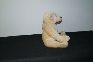 STEIFF TEDDY BEAR MARGARET WOODBURY STRONG MUSEUM 1904 RELICA 0157/42 Jointed 2