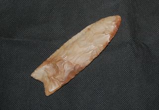 Clovis,  4 - 3/16 Petrified Wood (oak),  Escambia Co,  Fl,  X - Ben Waller,  Insight