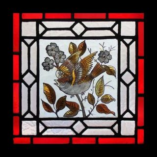 Pretty Victorian Painted Bird In Foliage Antique English Stained Glass Window