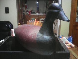 Vintage Hand Carved Hand Painted Wooden Duck Decoy Has a Aged Patina 3