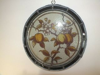 Rare 19th C A/nouveau Lead Framed Stained Glass Wall Plaque Of Fruit & Blossom