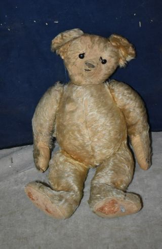 Antique 18 " Straw Filled Jointed Teddy Bear With Elephant Ear - Steiff?