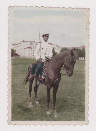 Bulgaria Bulgarian Royal Guardsman W/sword Vintage Orig Tinted Photo (49704)