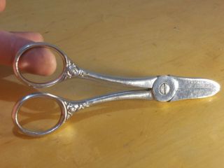 Vintage Corona 23 Cut & Hold Flower Shear Floral Scissors Gardening Made Italy