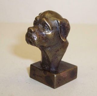 Vintage/antique Solid Bronze Miniature American Mastiff Dog Head Bust Sculpture