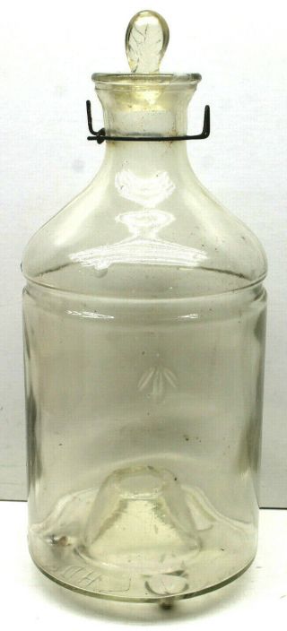 Vintage Fly Bug Mosquito Catcher Outdoor/indoor Clear Heavy Glass,  Lid 11 " Tall