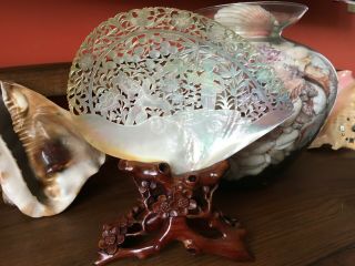 19th.  C CHINESE Carved & Pierced Mother of Pearl Shell Plaque in Wood Stand. 3