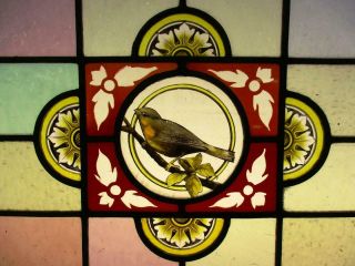 VICTORIAN ENGLISH LEADED STAINED GLASS WINDOW Hand Painted Bird 21.  75 