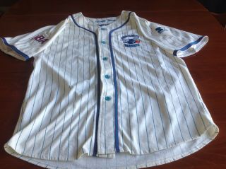 Vintage Charlotte Hornets Nba Starter Pinstripe Baseball Jersey Size Large Vg
