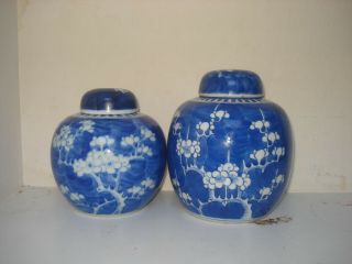 2chinese 19th Century Qing Period Blue And White Ginger Jars With Lids