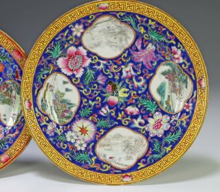 Group of Old Chinese Enameled Porcelain Plates with Great Color 3