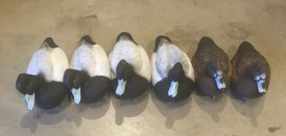 Set Of 6 Bluebill Duck Decoys