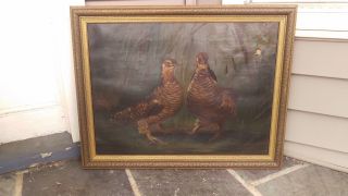 Antique C.  1870 Landscape Oil Painting Of Ruffed Grouse A.  F Tait Era