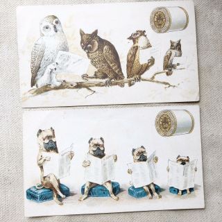 Pair Vintage Advertising Trade Cards Corticelli Spool Sewing Thread Cats Owls