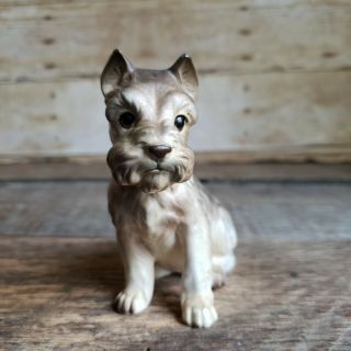 Vintage Schnauzer Dog Figurine Adorable Ceramic Figure Figurine