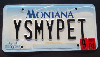 Montana Vanity License Plate " Ys My Pet " Why Wise Dog Cat Bird Parrot Dogs Cats