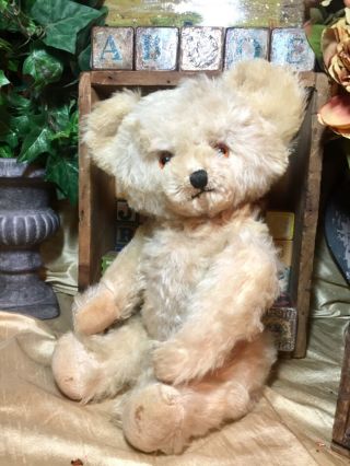 15” Antique 1930s Knickerbocker White Mohair Teddy Bear Adorable