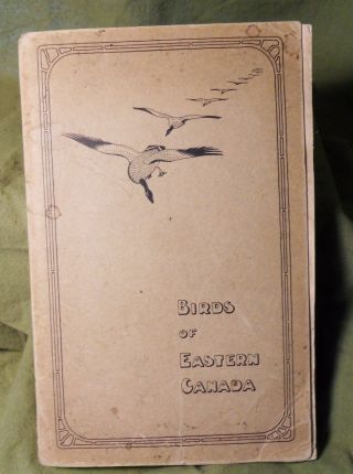 Vintage Reference Book Birds Of Eastern Canada 1922.