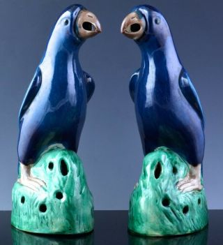 Pair Chinese Biscuit Porcelain Blue Green Glazed Parrot Figures Kangxi Period