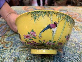 Antique Chinese Porcelain Birds And Flowers Yellow Bowl With Chinese Mark