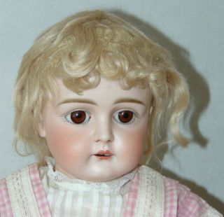 Antique Bisque Doll Kestner 12 Mohair Wig Plaster Pate
