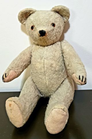 European Vintage Teddy Bear