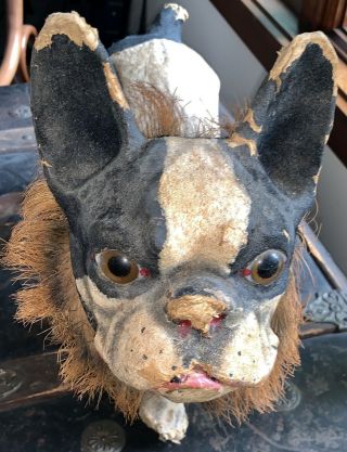 Rare Antique Growling French Bull Dog Pull Toy Automaton Paper Mache