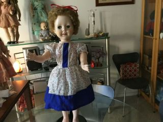 Vintage Pedigree Brighton Belle hard plastic walker doll 28 inch ca 1950 s 2