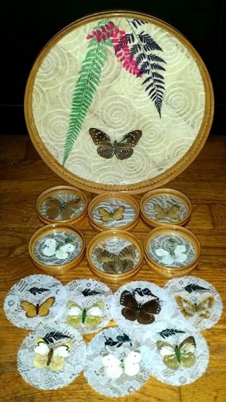 Vintage Bamboo Tray & 6 Coasters With Pressed Butterfly Lace (extra Inserts)