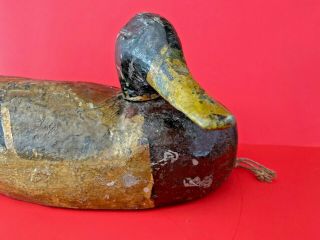 Antique Wood Carved Hunting Duck Decoy - Moveable Head - Short Neck - Unmarked 2