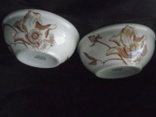 2 Vintage Iroquois Restaurant Dinnerware Brown Poppies Cereal & Berry Bowls