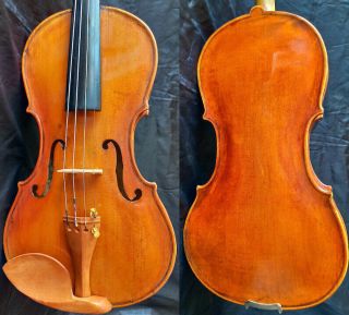 Fine 4/4 Antique Old Violin Label Albertus Blanchi Fiddle Bratsche 小提琴 ヴァイオリン