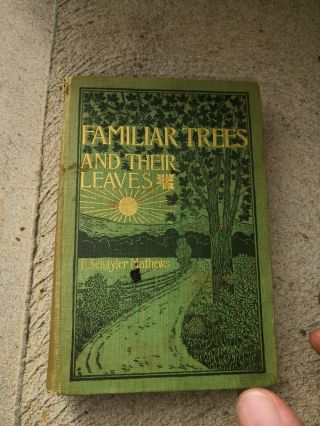 Familiar Trees And Their Leaves F.  Schuyler Mathews Pub 1896