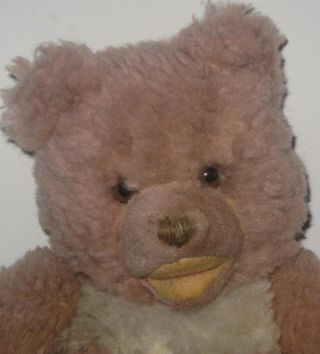 Vintage Cosy Zotty Bear 10 " Plush Fully Jointed Teddy