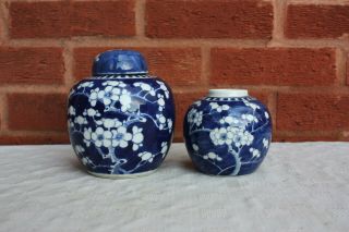Two 19th Century Chinese Blue And White Prunus Ginger Jars