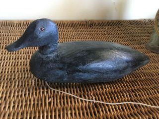 Vintage Wooden Black Duck Decoy - Glass Eye - Age And Maker Unknown