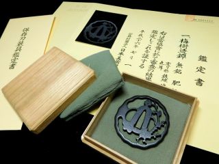 Higo - School Nbthk Hozon Certificated Tsuba Japanese Edo Antique