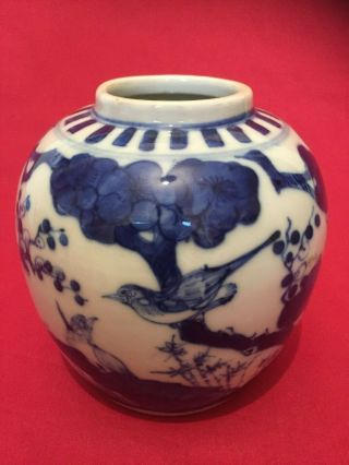 Antique Rare Chinese Porcelain Ginger Jar In Prunus Pattern With Birds
