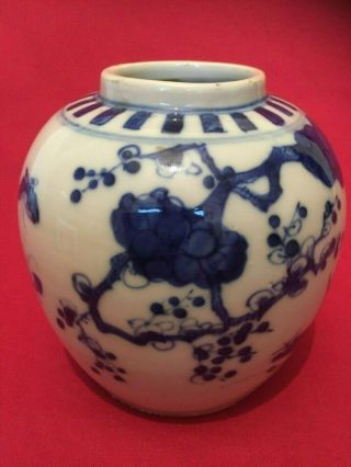 Antique Rare Chinese Porcelain Ginger Jar in Prunus Pattern with Birds 2