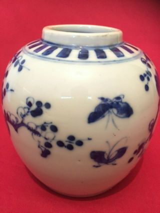 Antique Rare Chinese Porcelain Ginger Jar in Prunus Pattern with Birds 3