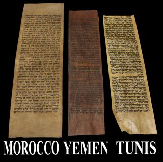Antique Set Of 3 Vellum Torah Bible Manuscript Fragments Judaica 200 - 350 Yrs Old
