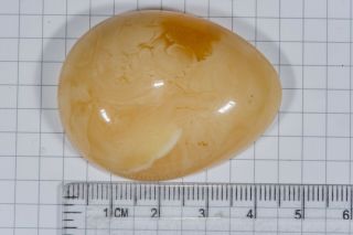13.  5 G Natural Baltic Sea Amber Pendant Eggyolk Antique Butterscotch Tiger