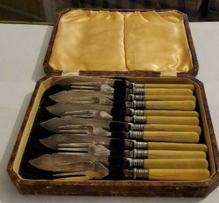 Rare Vintage Ep - Ns Fish Cutlery Set Flatware Forks Knives & Box Bakelite Look Nr