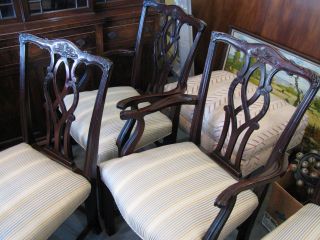 Mahogany Vintage Dining Room Chairs - Six - - Very Sturdy - Pick Up Only
