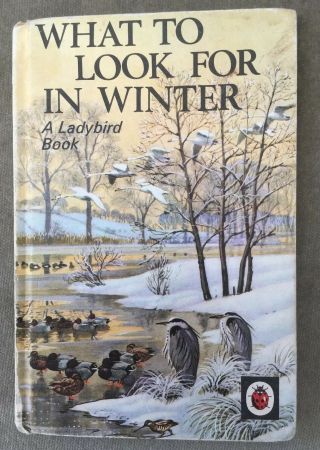 Vintage Ladybird What To Look For In Winter Book Series 536 40p Matt Board