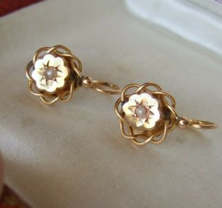 Antique French Victorian 18ct Yellow Gold Love Knot Dormeuses Earrings