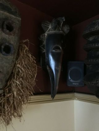 Primitive African Tribal Art Dan Bird Mask Liberia Côte D’ivoire